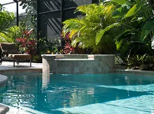Backyard swimming pool featuring an elevated stone tile spa surrounded by tropical palm trees and plants.